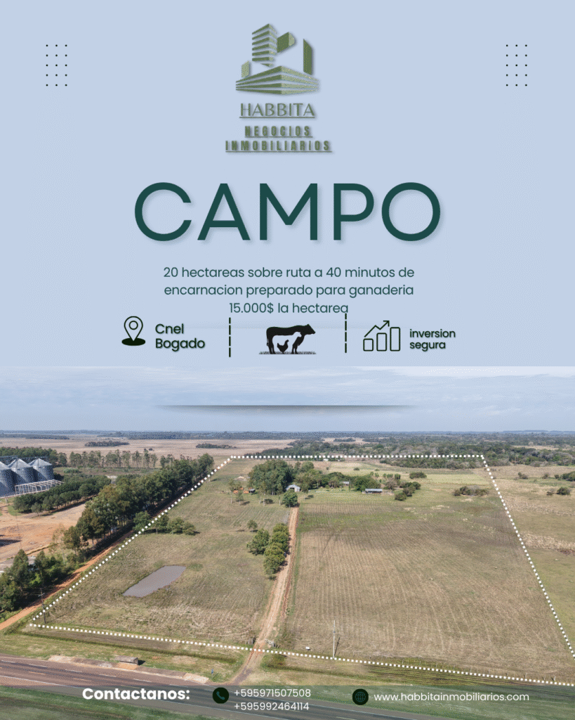 campo flayer